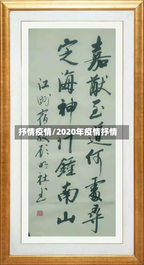 抒情疫情/2020年疫情抒情