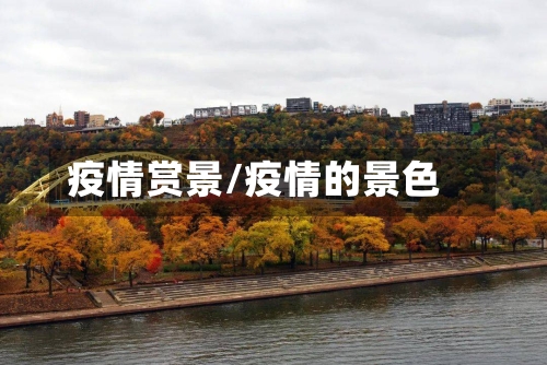 疫情赏景/疫情的景色