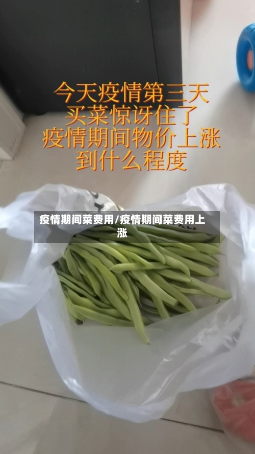 疫情期间菜费用/疫情期间菜费用上涨-第2张图片