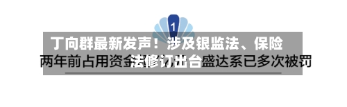 丁向群最新发声！涉及银监法、保险法修订出台-第2张图片