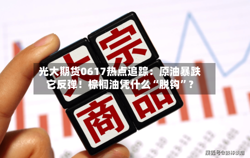 光大期货0617热点追踪：原油暴跌它反弹！棕榈油凭什么“脱钩”？-第2张图片