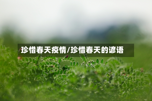 珍惜春天疫情/珍惜春天的谚语