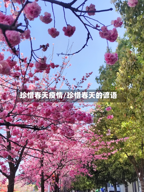 珍惜春天疫情/珍惜春天的谚语-第3张图片