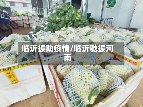 临沂援助疫情/临沂驰援河南-第2张图片