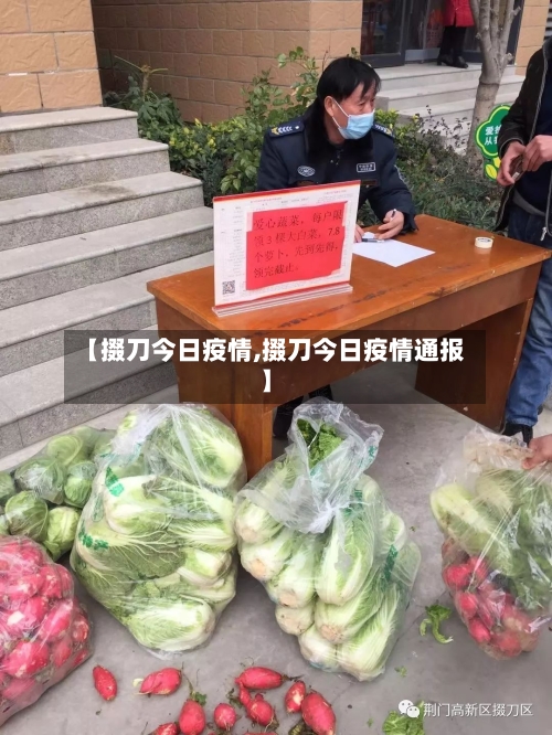 【掇刀今日疫情,掇刀今日疫情通报】