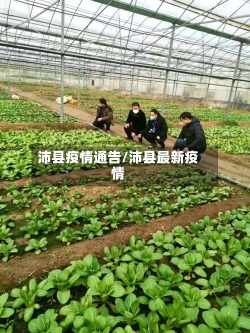沛县疫情通告/沛县最新疫情