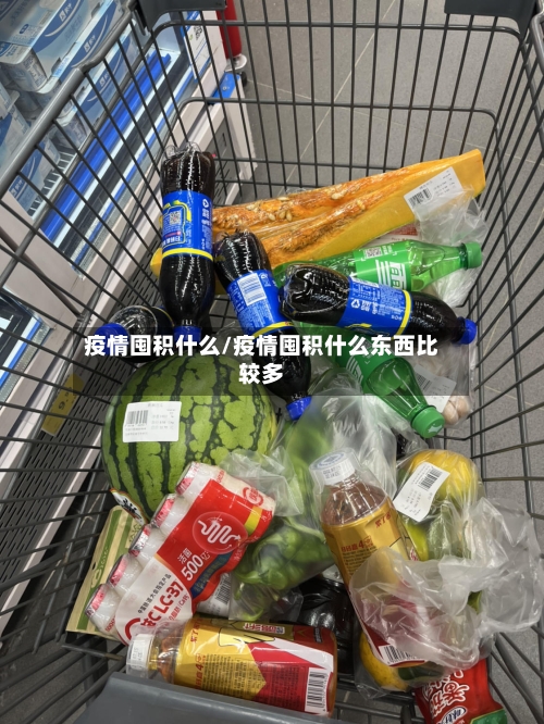 疫情囤积什么/疫情囤积什么东西比较多-第3张图片