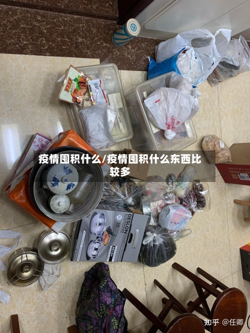 疫情囤积什么/疫情囤积什么东西比较多-第2张图片