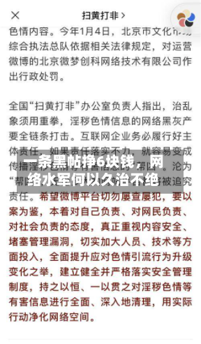 一条黑帖挣6块钱，网络水军何以久治不绝-第3张图片