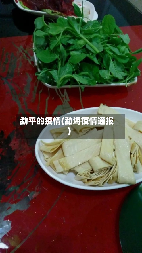 勐平的疫情(勐海疫情通报)