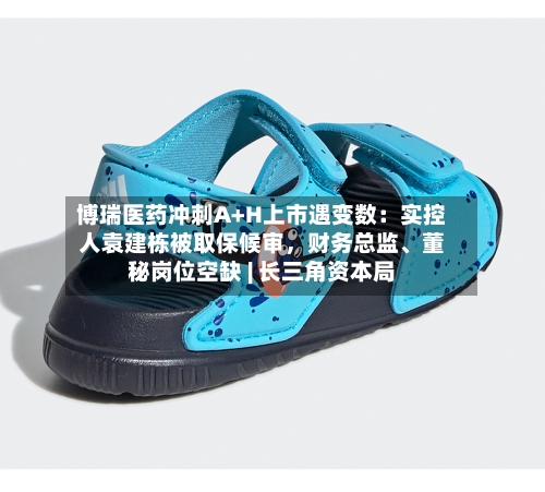 博瑞医药冲刺A+H上市遇变数：实控人袁建栋被取保候审，财务总监、董秘岗位空缺 | 长三角资本局
