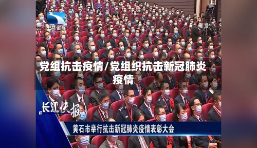 党组抗击疫情/党组织抗击新冠肺炎疫情