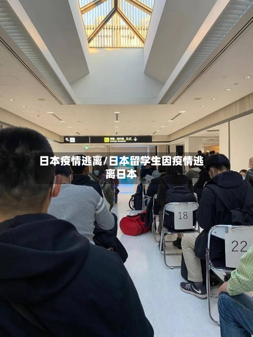 日本疫情逃离/日本留学生因疫情逃离日本-第2张图片