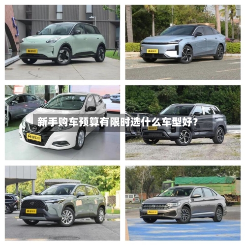 新手购车预算有限时选什么车型好？