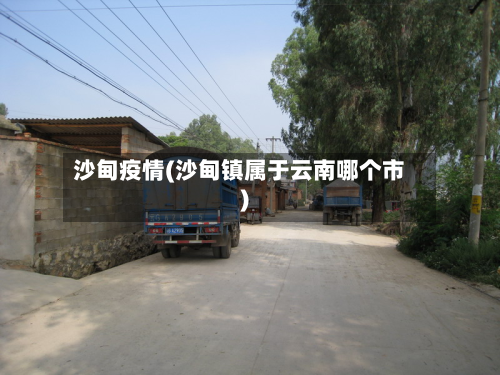 沙甸疫情(沙甸镇属于云南哪个市)-第2张图片