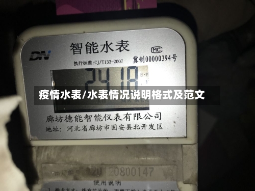 疫情水表/水表情况说明格式及范文-第2张图片