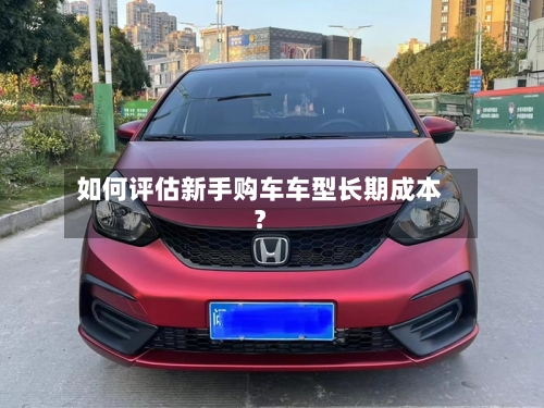 如何评估新手购车车型长期成本？