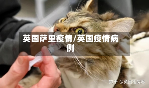 英国萨里疫情/英国疫情病例-第2张图片