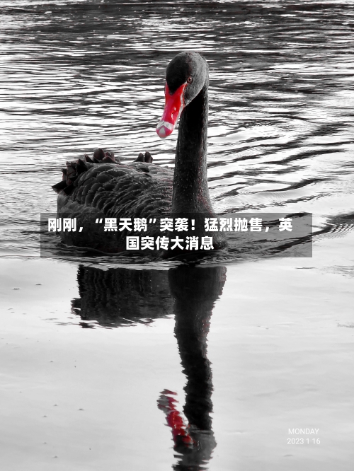 刚刚，“黑天鹅	”突袭！猛烈抛售	，英国突传大消息-第2张图片