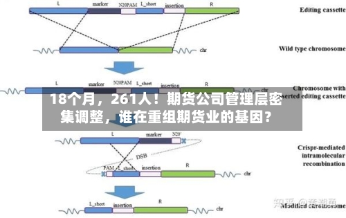 18个月	，261人！期货公司管理层密集调整，谁在重组期货业的基因？-第2张图片