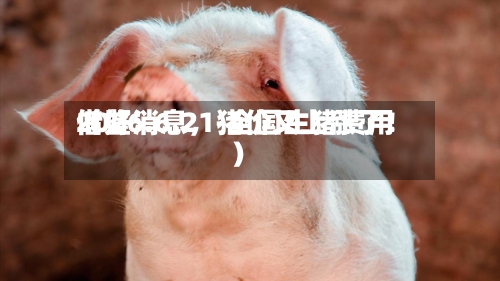 2026.6.21-全国生猪费用借鉴（好消息，猪价又上涨了！）-第2张图片