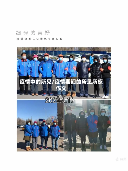 疫情中的所见/疫情期间的所见所感作文-第2张图片