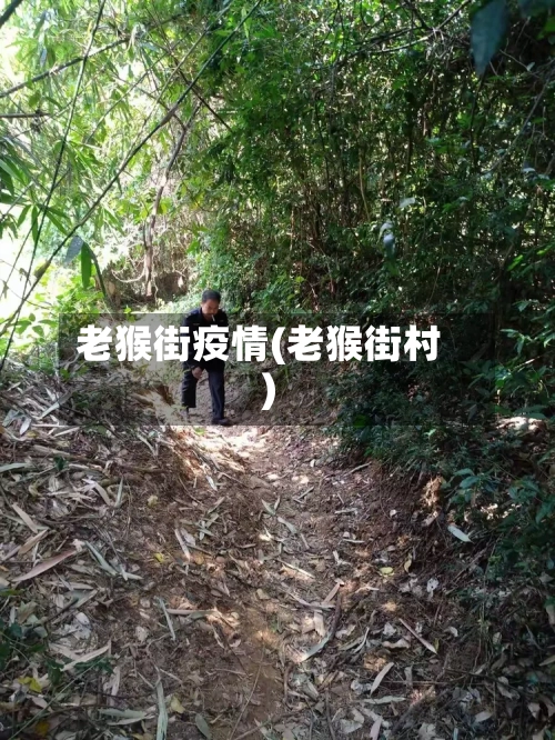 老猴街疫情(老猴街村)