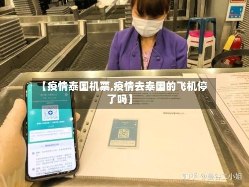 【疫情泰国机票,疫情去泰国的飞机停了吗】-第2张图片