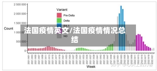 法国疫情英文/法国疫情情况总结-第2张图片
