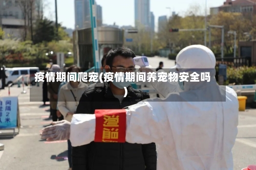 疫情期间爬宠(疫情期间养宠物安全吗)-第3张图片