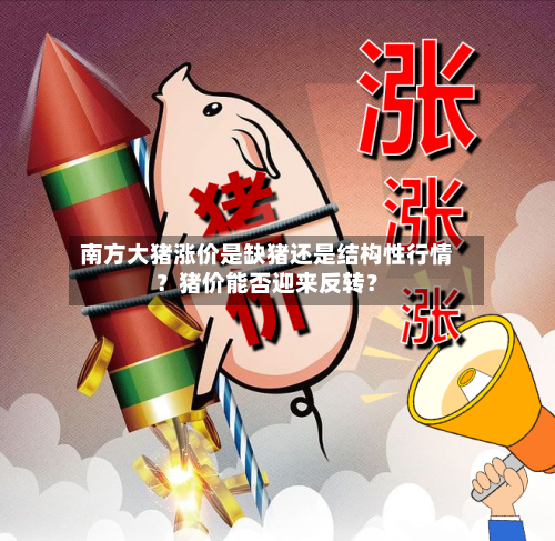 南方大猪涨价是缺猪还是结构性行情？猪价能否迎来反转？