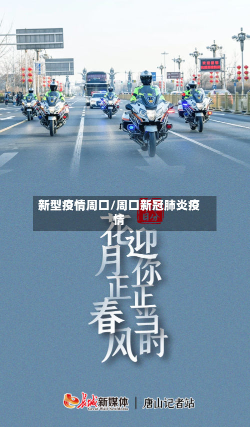 新型疫情周口/周口新冠肺炎疫情-第2张图片