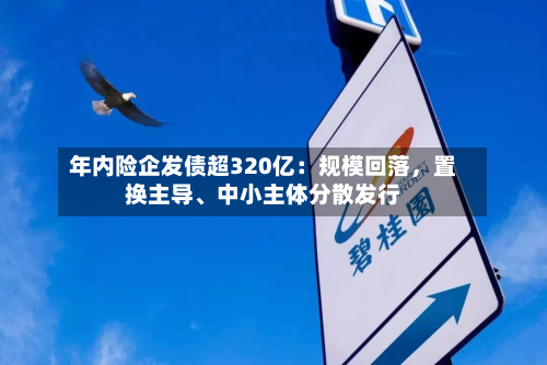 年内险企发债超320亿：规模回落，置换主导、中小主体分散发行-第2张图片