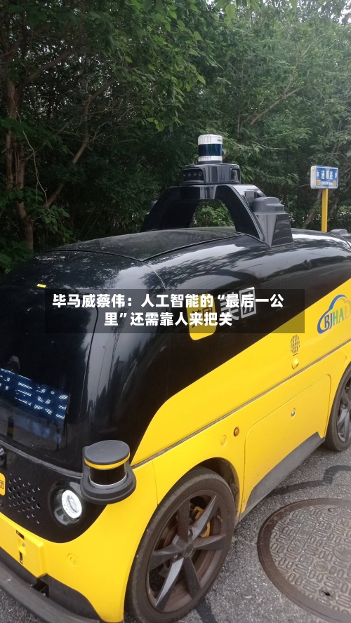 毕马威蔡伟：人工智能的“最后一公里	”还需靠人来把关-第3张图片