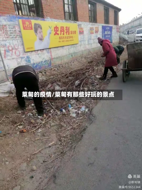 菜甸的疫情/菜甸有那些好玩的景点-第2张图片