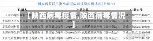 【陕西病毒疫情,陕西病毒情况】-第2张图片