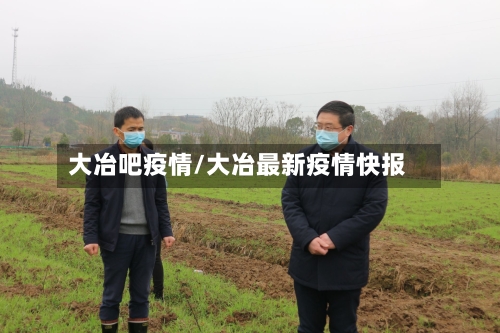 大冶吧疫情/大冶最新疫情快报