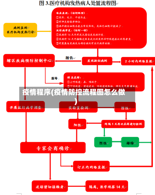 疫情程序(疫情防控流程图怎么做)