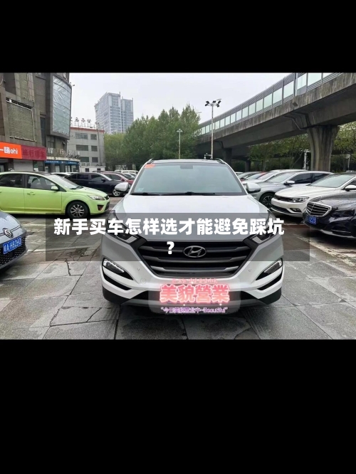 新手买车怎样选才能避免踩坑？