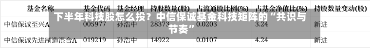 下半年科技股怎么投？中信保诚基金科技矩阵的“共识与节奏	”-第3张图片