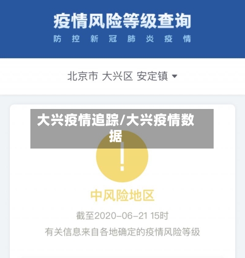 大兴疫情追踪/大兴疫情数据-第2张图片