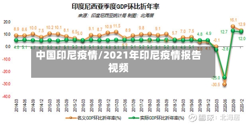 中国印尼疫情/2021年印尼疫情报告视频-第3张图片
