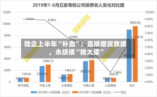 险企上半年“补血”：直接增资放缓	，永续债“挑大梁”-第3张图片