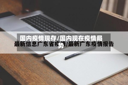 国内疫情现存/国内现在疫情局势