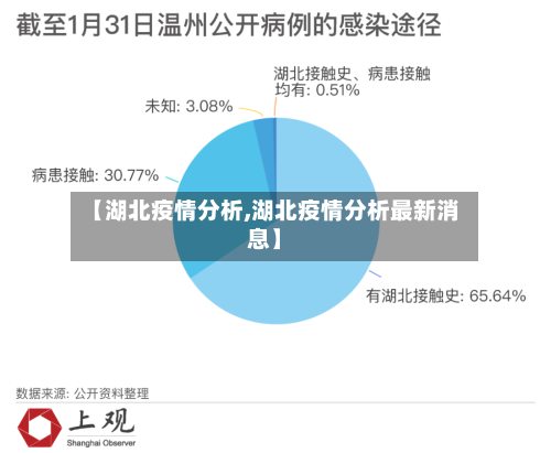 【湖北疫情分析,湖北疫情分析最新消息】-第2张图片