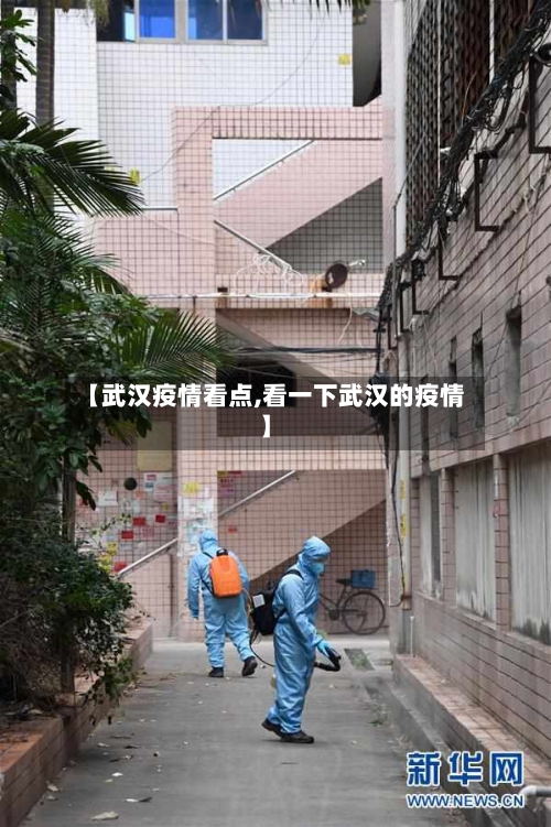 【武汉疫情看点,看一下武汉的疫情】-第2张图片