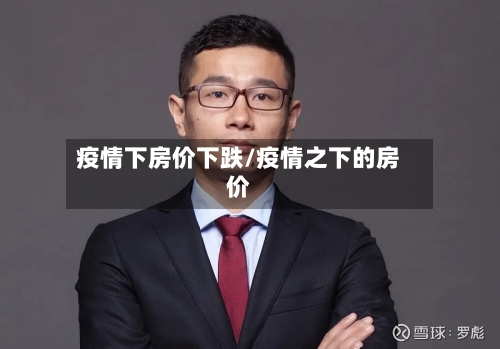 疫情下房价下跌/疫情之下的房价