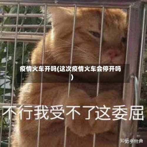 疫情火车开吗(这次疫情火车会停开吗)-第2张图片