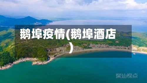 鹅埠疫情(鹅埠酒店)-第2张图片