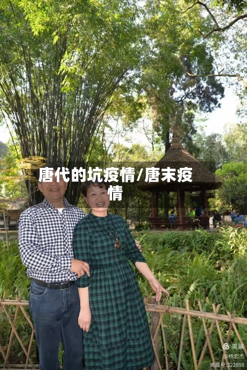 唐代的坑疫情/唐末疫情-第2张图片